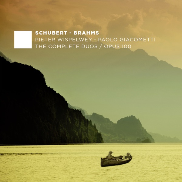 F. Schubert, J. Brahms: The Complete Duos, Vol. 3 album cover