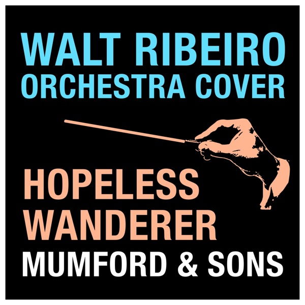 Hopeless Wanderer (Orchestra Cover) - Single album cover