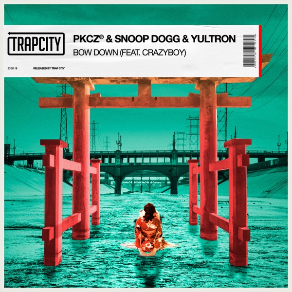 BOW DOWN (feat. CRAZYBOY) - Single album cover