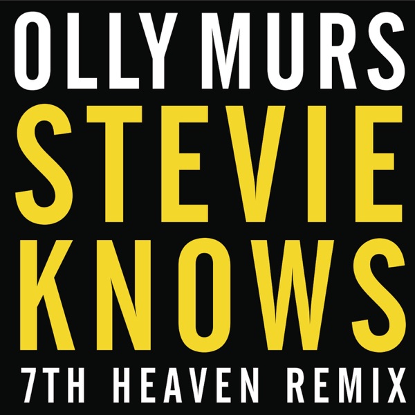 Stevie Knows (7th Heaven Remix) - Single album cover