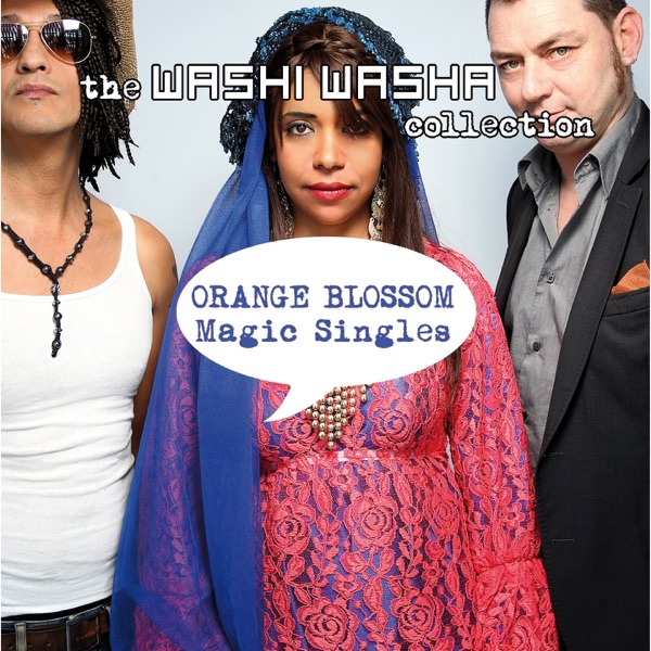 Magic Singles (The Washi Washa Collection) - EP album cover