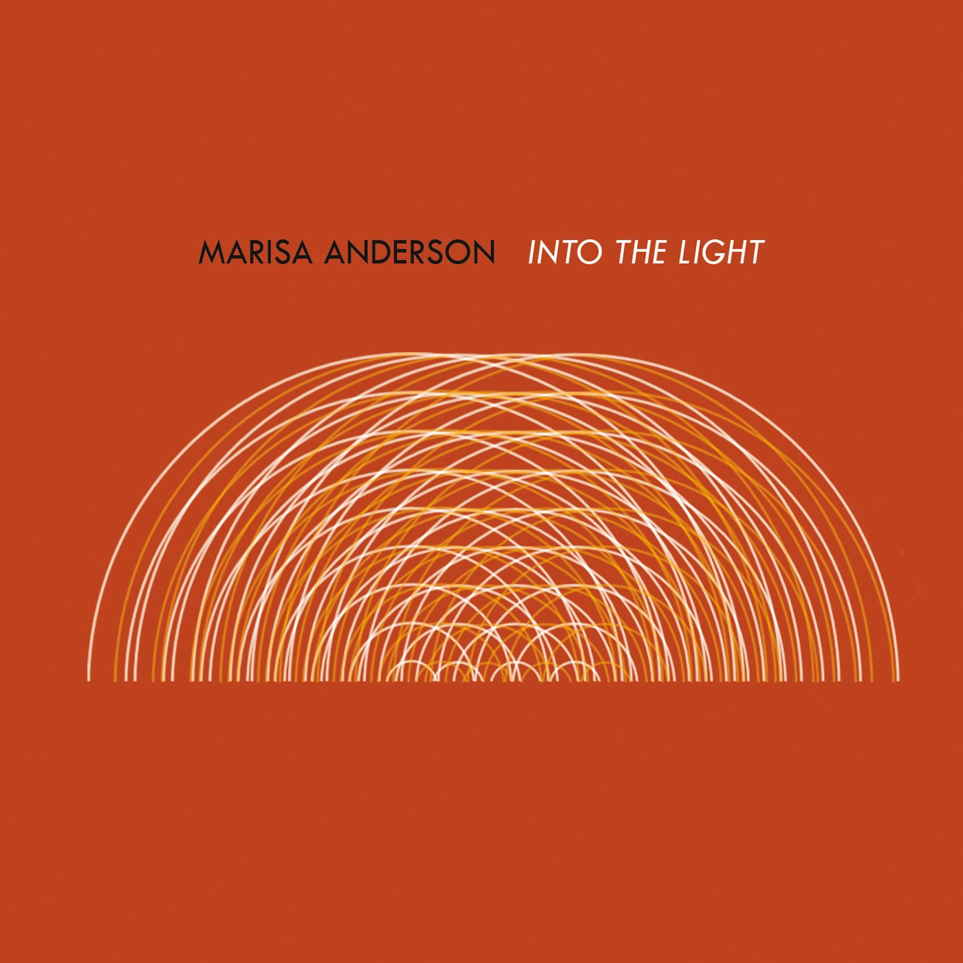 Into the Light album cover