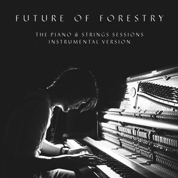 The Piano & Strings Sessions (Instrumental Version) album cover