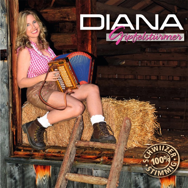 Gipfelstürmer album cover