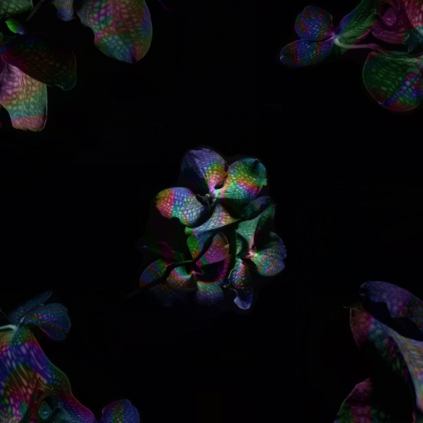 Divine Disaster - Single album cover