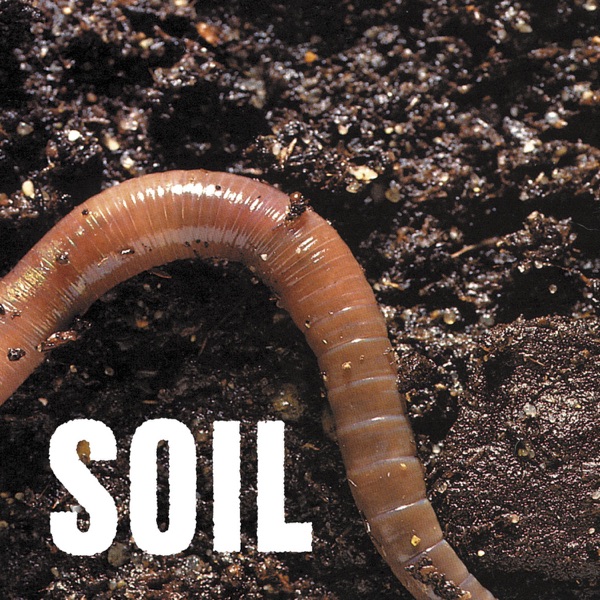 SOiL - EP album cover