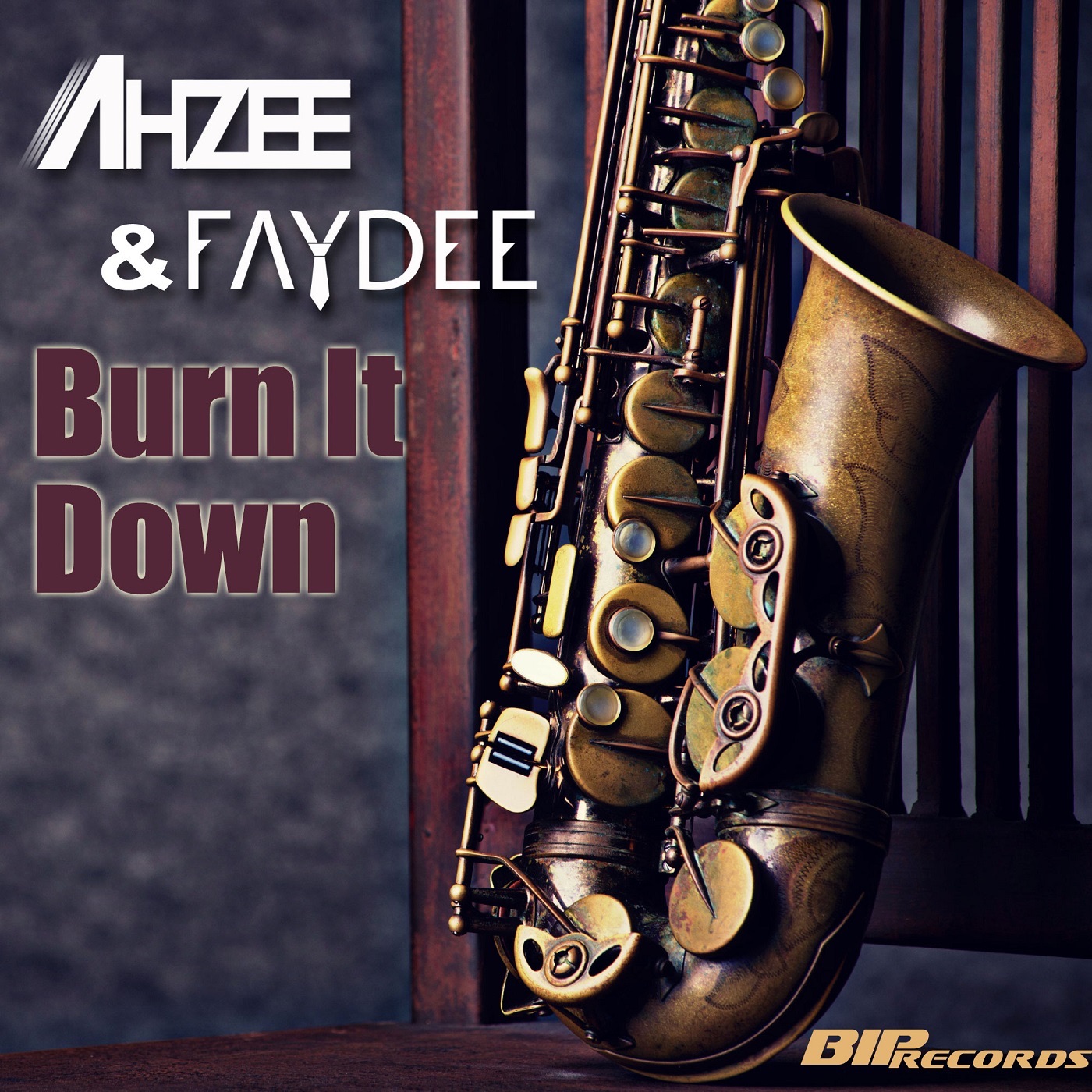 Burn It Down - Single (Radio Edit) - Single album cover