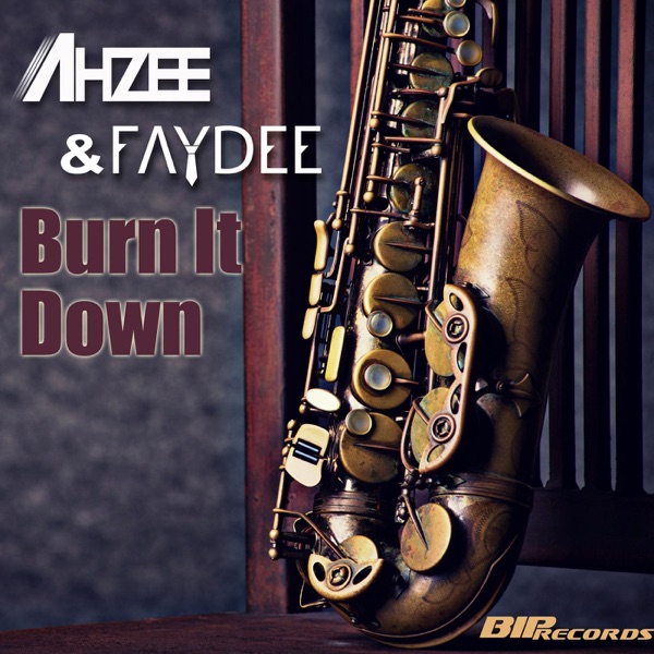 Burn It Down - Single (Radio Edit) - Single album cover