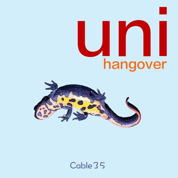 Uni Hangover - Single album cover