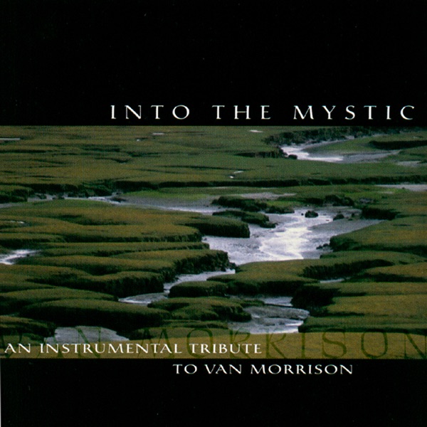 Into the Mystic: An Instrumental Tribute To Van Morrison album cover