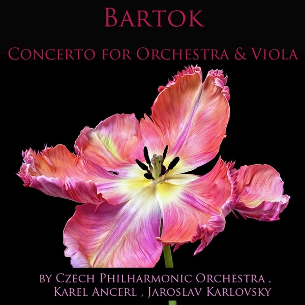 Bartók: Concerto for Orchestra & Viola Concerto album cover
