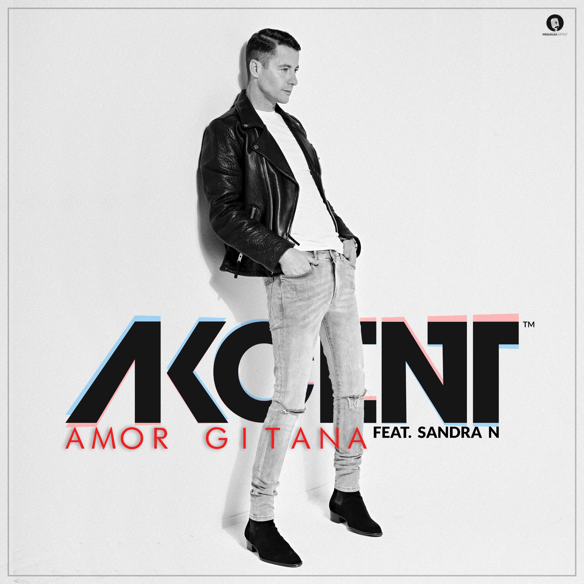 Amor Gitana (feat. Sandra N.) - Single album cover