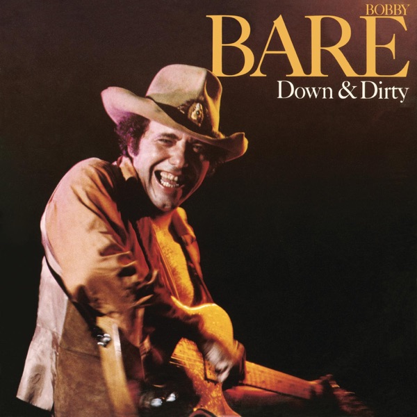 Down & Dirty album cover