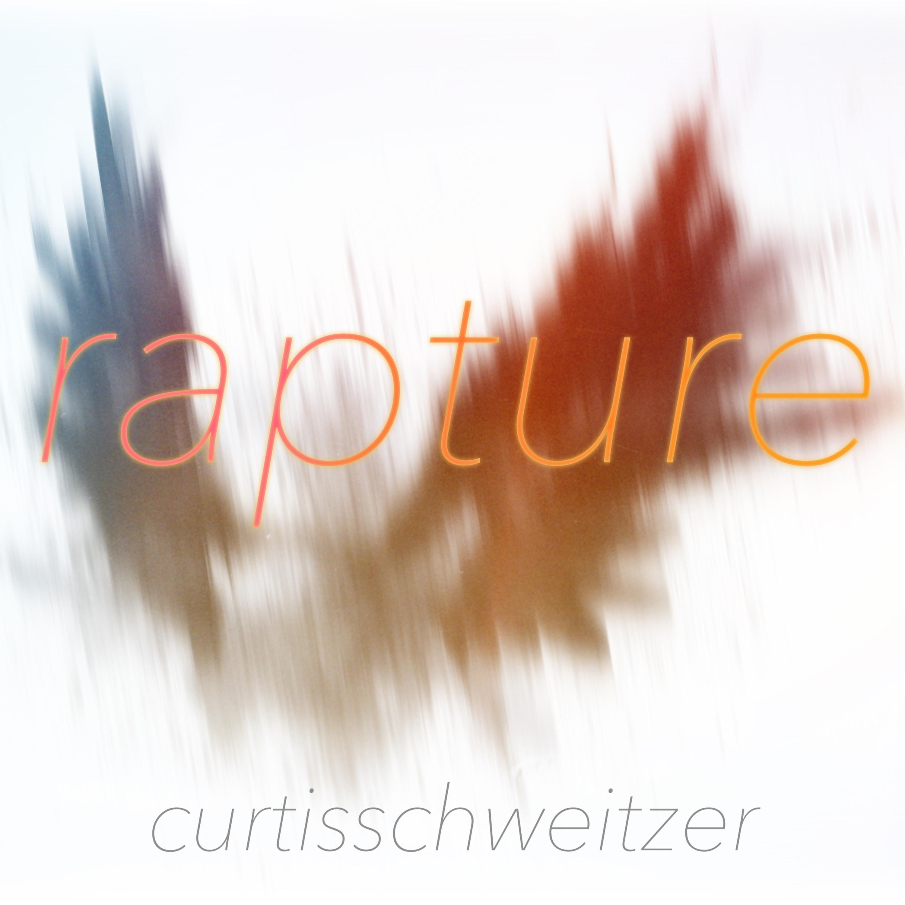 Rapture album cover