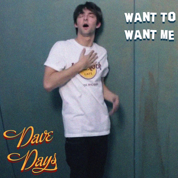 Want To Want Me - Single album cover