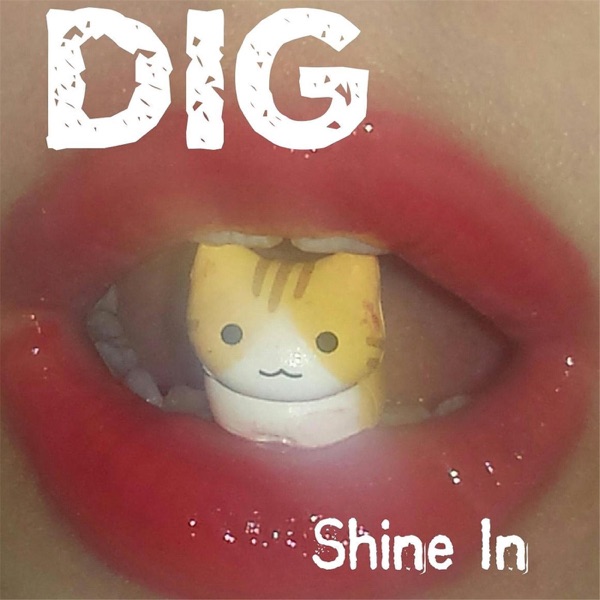 Shine In - Single album cover
