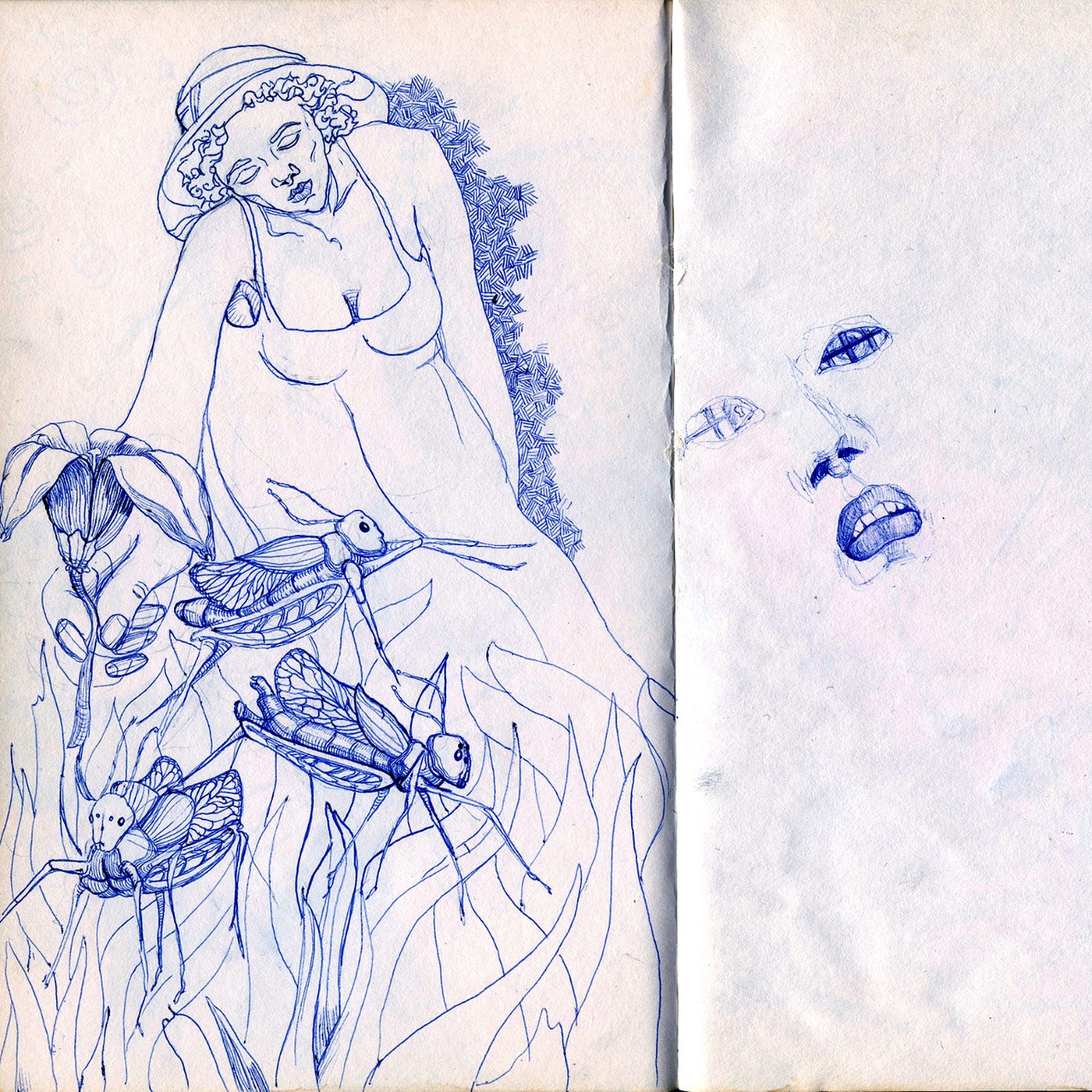 Summer Made Me Blue; Summer Gave Me Sky album cover