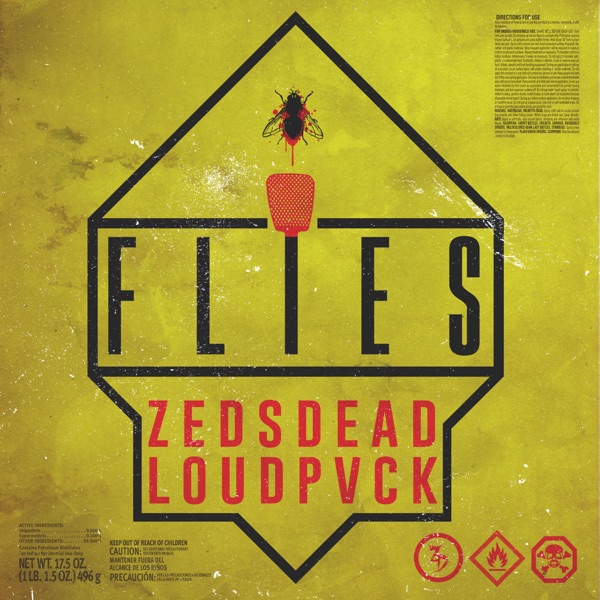 Flies - Single album cover