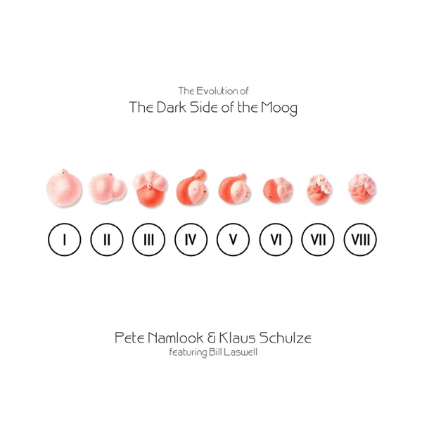 The Evolution of the Dark Side of the Moog album cover