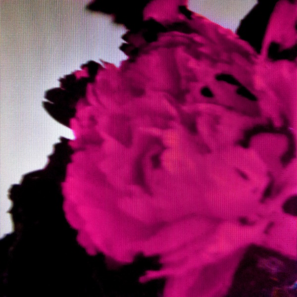 All of Me (Live) - Single album cover