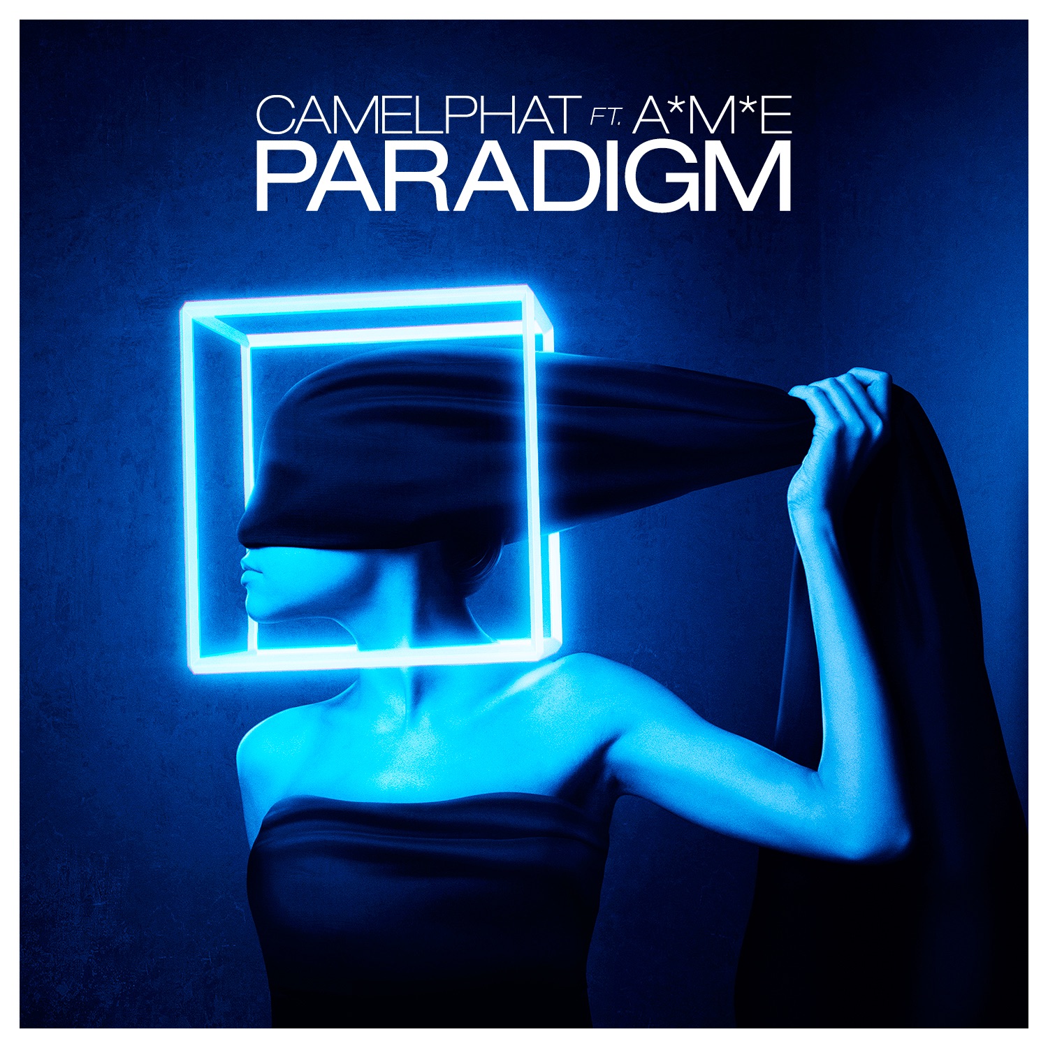 Paradigm (feat. A*M*E) album cover