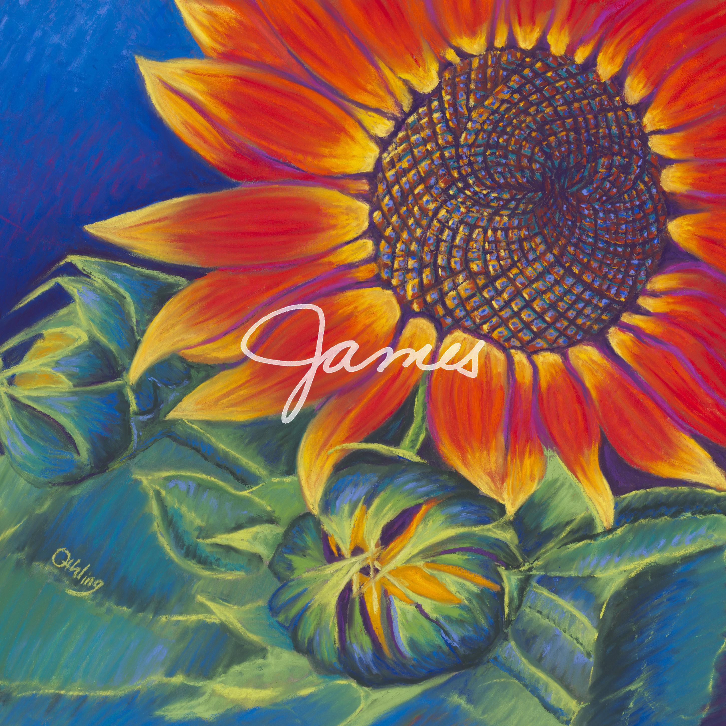 James - EP album cover