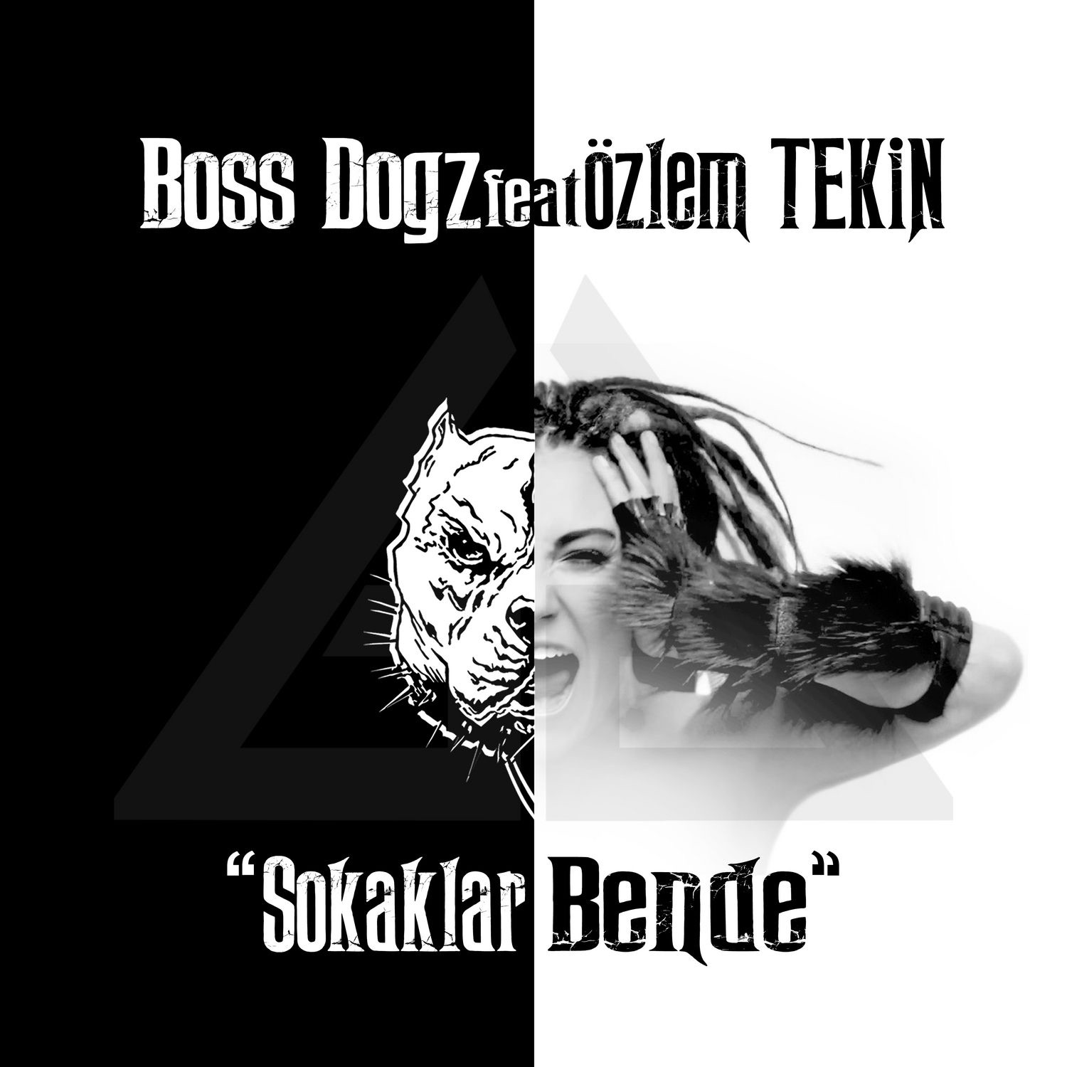 Sokaklar Bende (feat. Özlem Tekin) - EP album cover