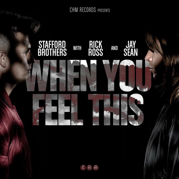 When You Feel This (feat. Jay Sean & Rick Ross) - Single album cover
