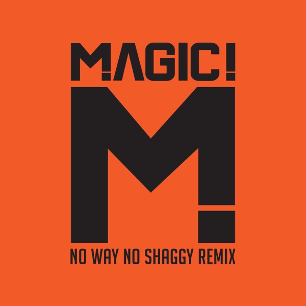 No Way No (feat. Shaggy) [Native Wayne Jobson and Barry O'Hare Remix] - Single album cover