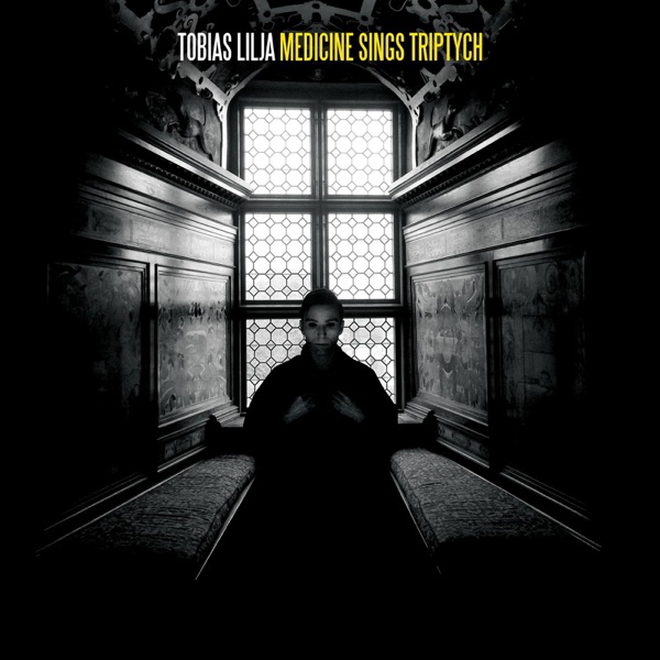 Medicine Sings Triptych album cover