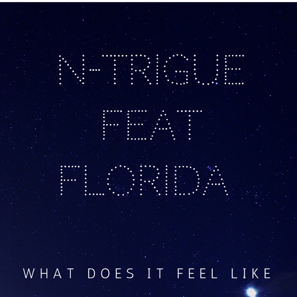 What Does It Feel Like (feat. Flo Rida) [Remixes] - Single album cover