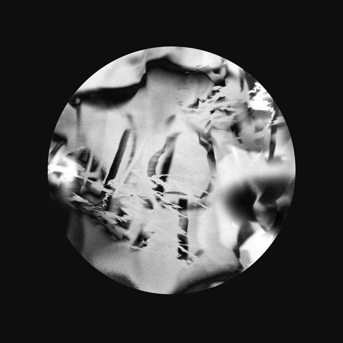 PELICAN FANCLUB album cover