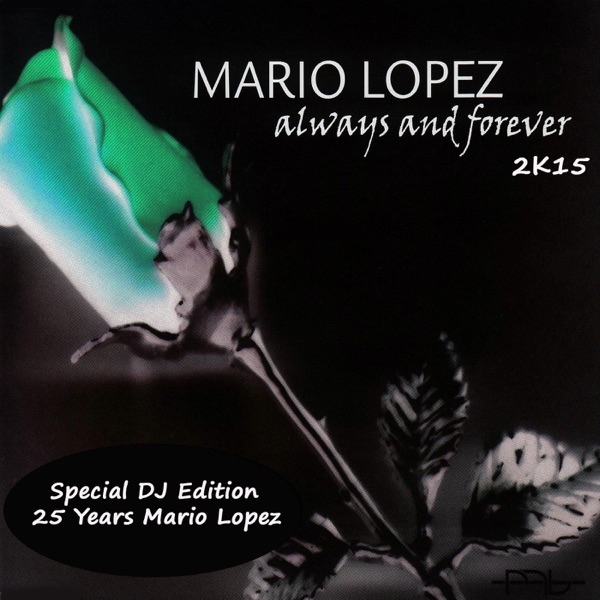 Always and Forever 2K15 (Special DJ Edition) [Remixes] album cover