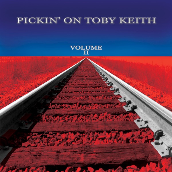 Pickin' On Toby Keith, Vol. 2 album cover
