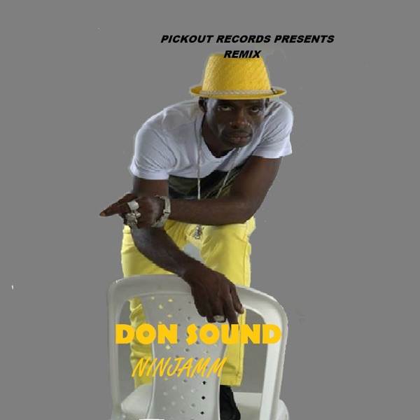 Don Sound (feat. Dougie Conscious) [Remix] - Single album cover