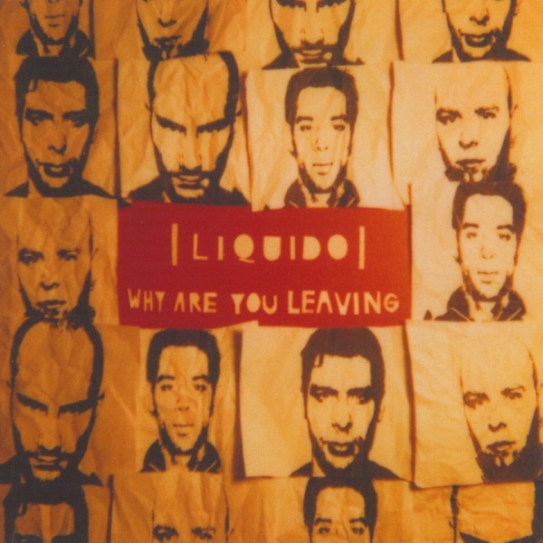 Why Are You Leaving - EP album cover