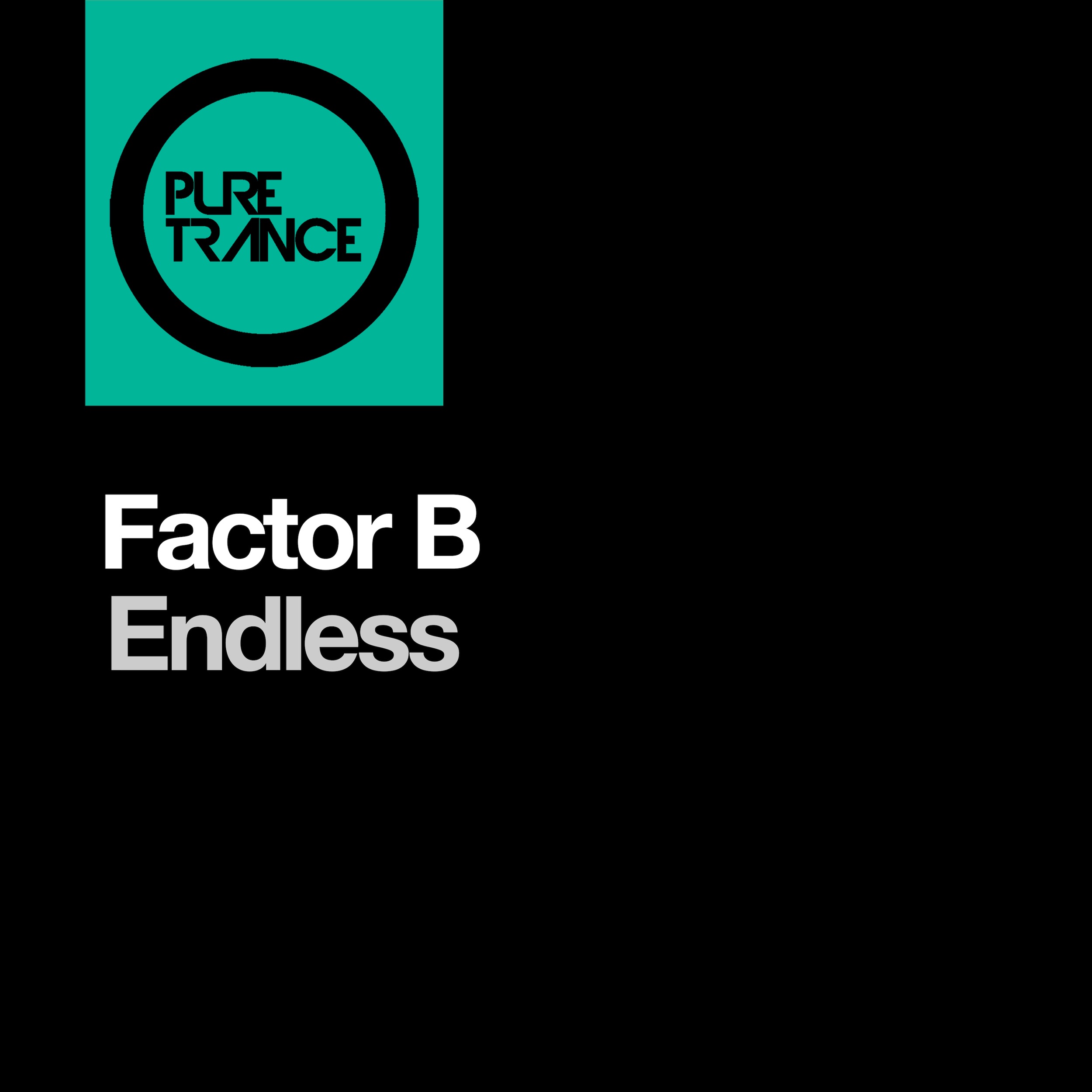 Endless - Single album cover