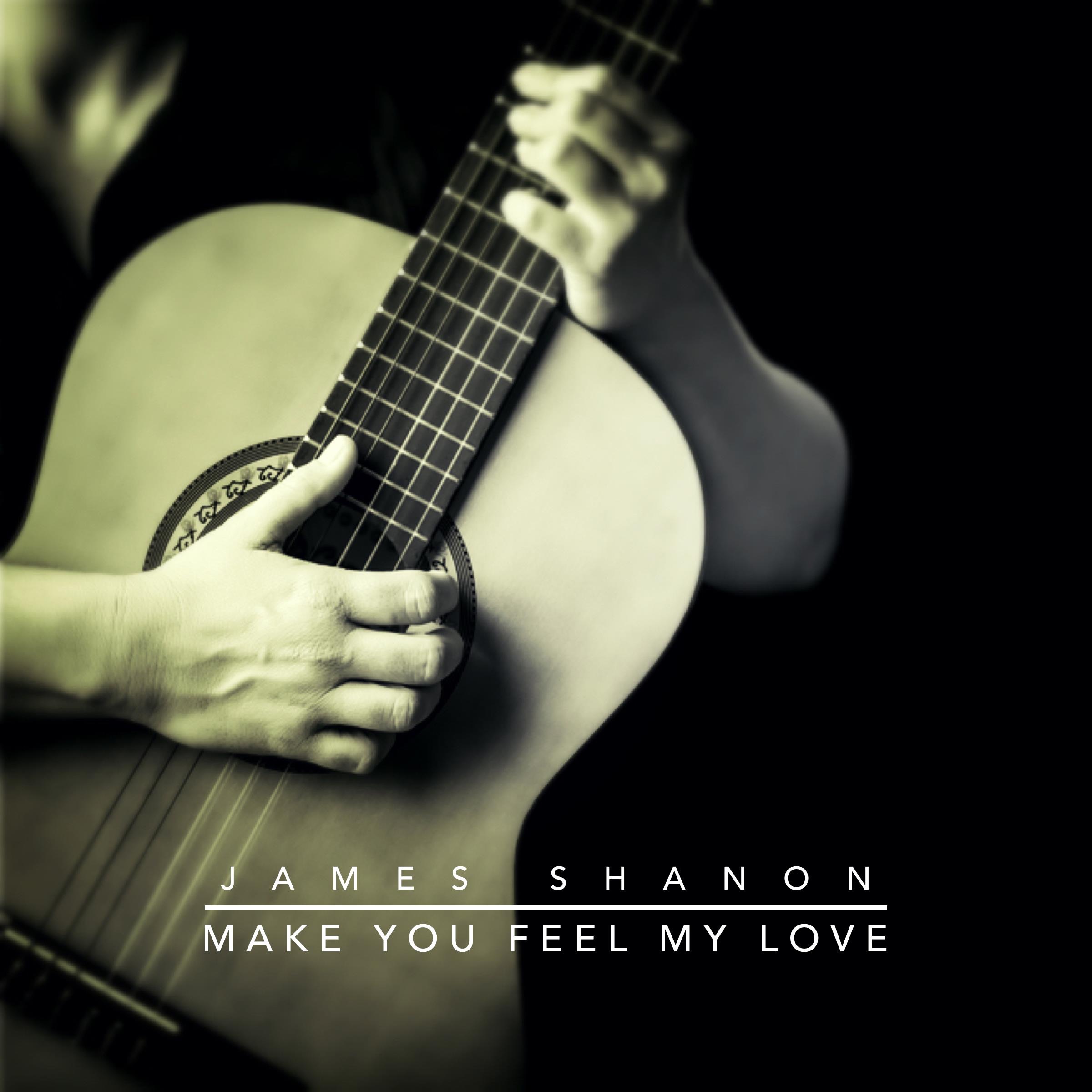 Make You Feel My Love - Single album cover