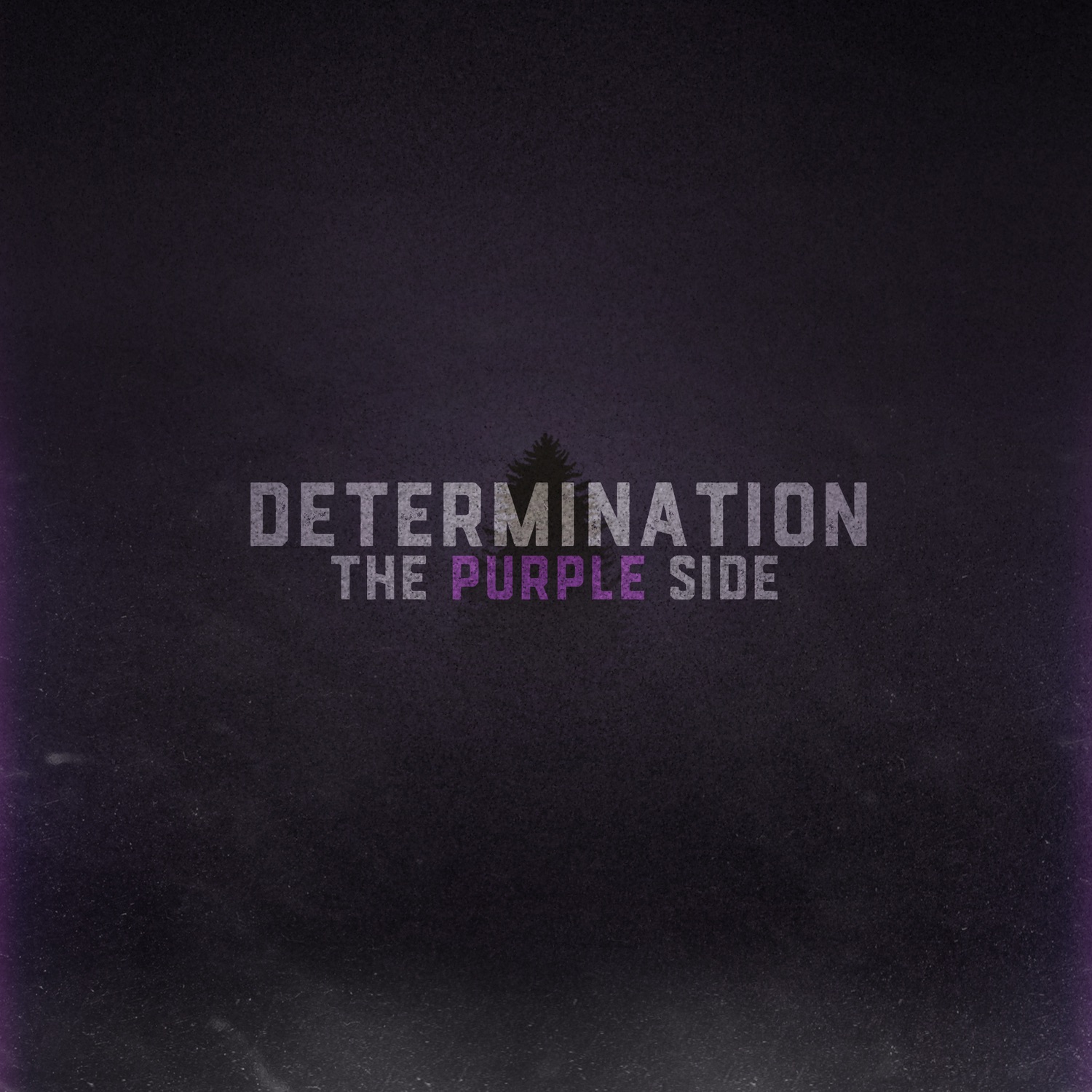 Determination: The Purple Side album cover
