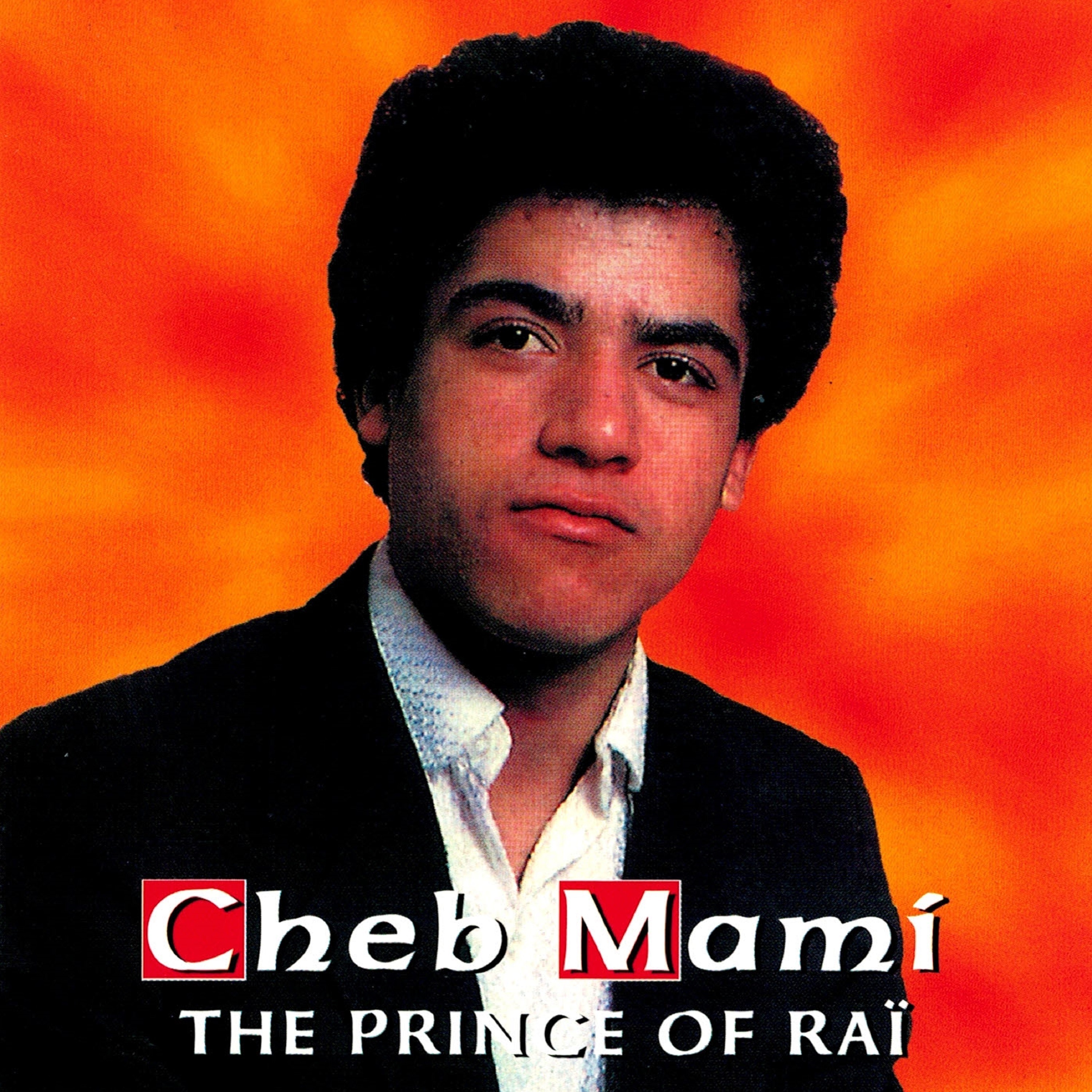 The Prince of Raï album cover