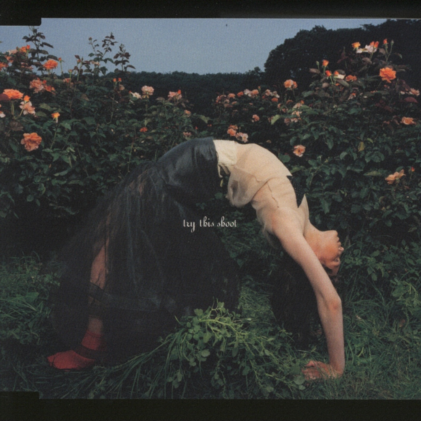 Try This Shoot - EP album cover