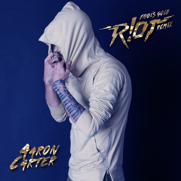 Fool's Gold (R!OT Remix) - Single album cover