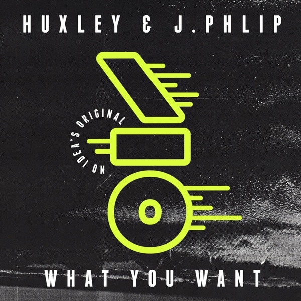 What You Want - Single album cover