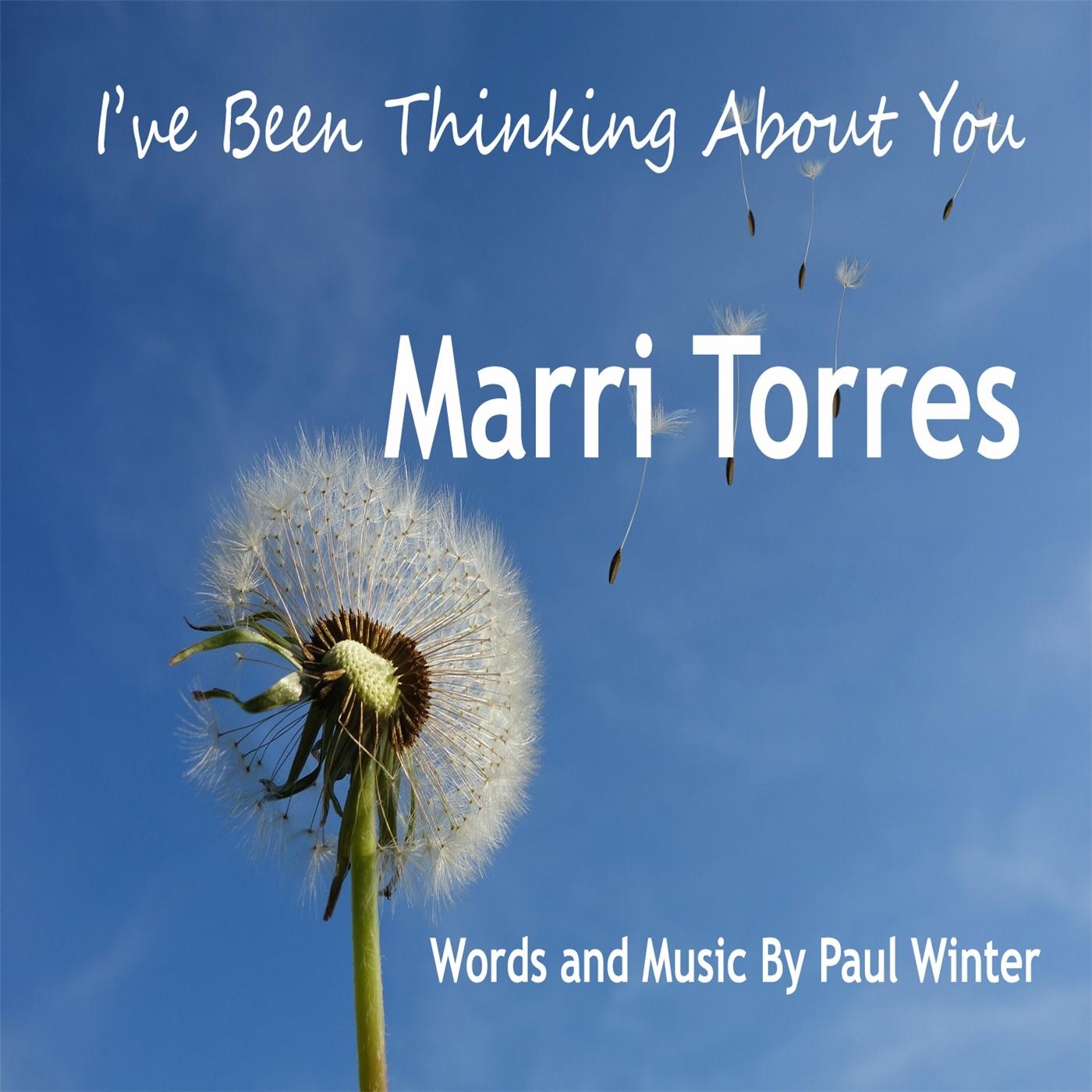 I've Been Thinking About You (feat. Paul Winter) - Single album cover
