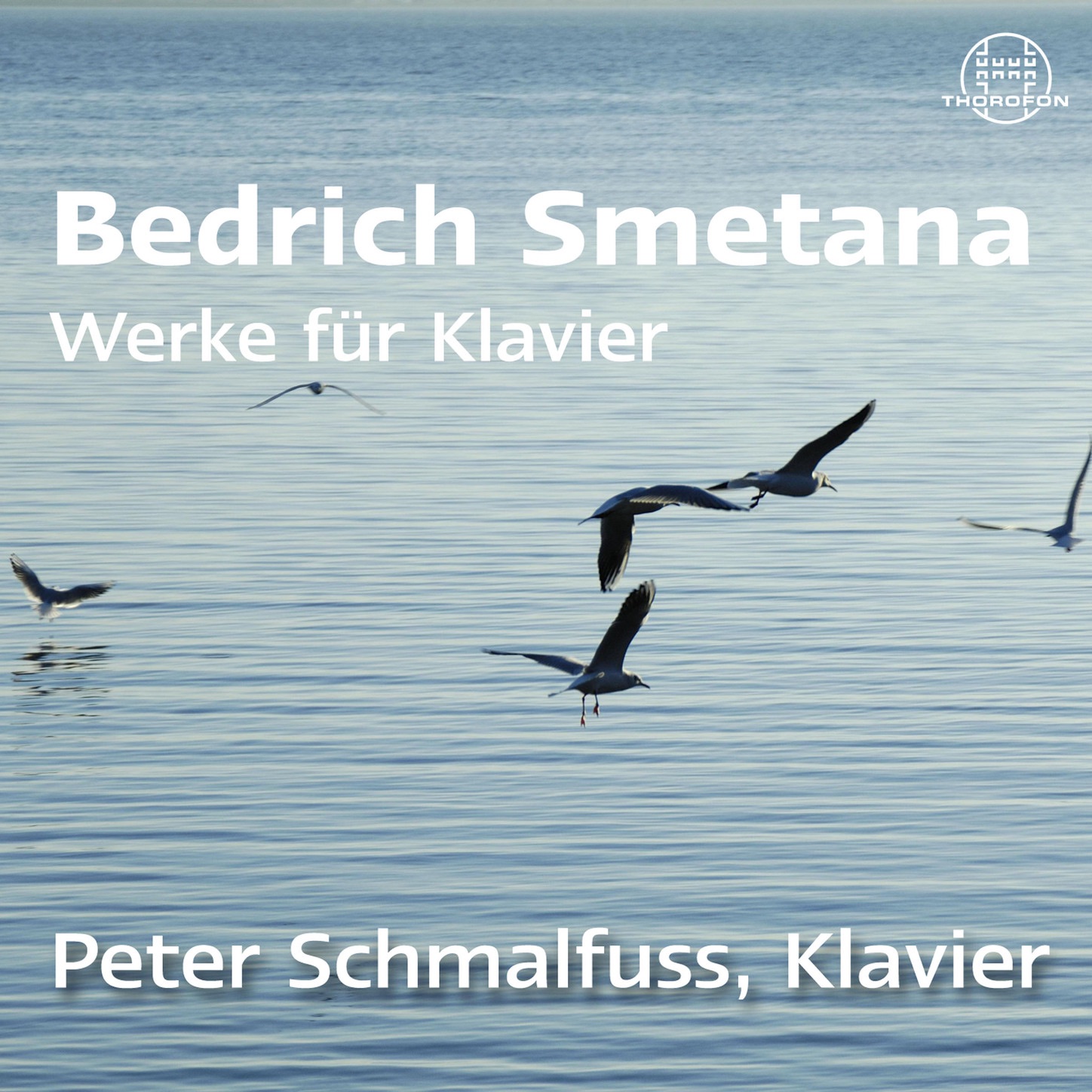 Smetana: Werke für Klavier, Vol. 2 album cover