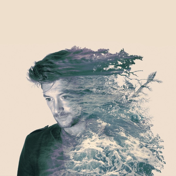 In the Dark - Single album cover