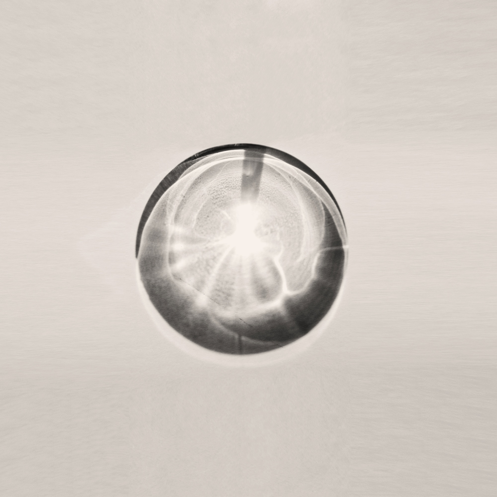 Humet: Niwa album cover