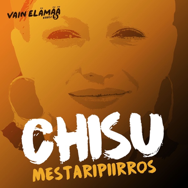 Mestaripiirros (Vain elämää kausi 5) - Single album cover