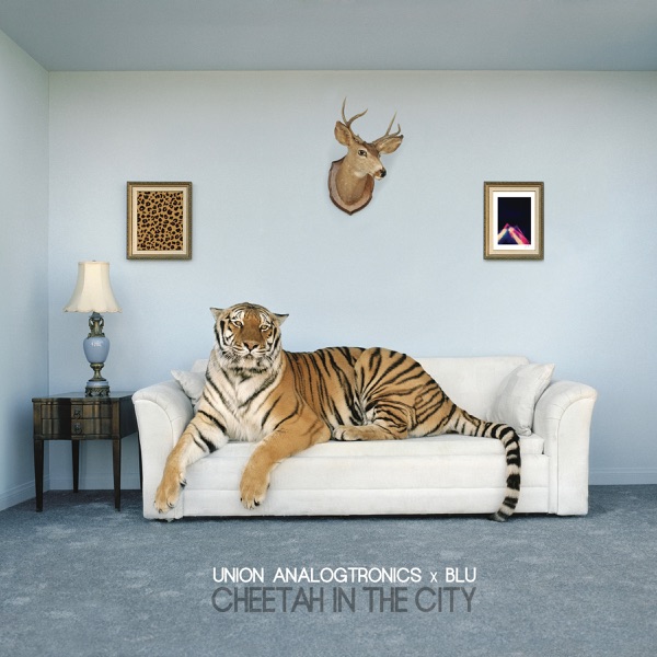 Cheetah in the City album cover