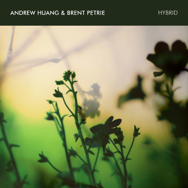 Hybrid - EP album cover